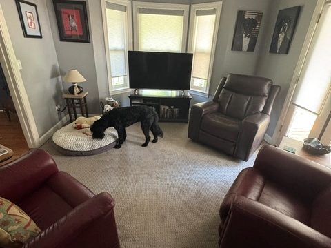 Living room with carpet installed